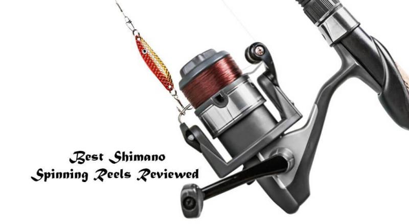 Best Shimano Sienna Fishing Combos In 2023: Why You Need One Of These Top-Rated Spinning Rod & Reel Sets