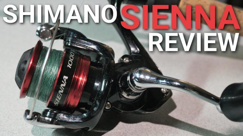 Best Shimano Sienna Fishing Combos In 2023: Why You Need One Of These Top-Rated Spinning Rod & Reel Sets
