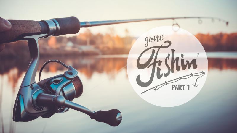 Best Shimano Sienna Fishing Combos In 2023: Why You Need One Of These Top-Rated Spinning Rod & Reel Sets