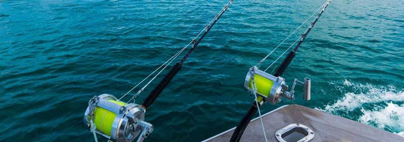 Best Trolling Rods and Reels for 2023: 15 Must-Have Trolling Combos