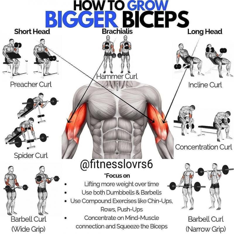 Biceps Bulging After Using The Best Home Gym Strength Rack. Proform Power Rack Types Compared