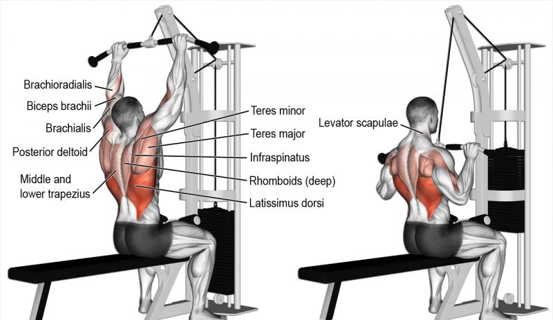 Biceps Bulging After Using The Best Home Gym Strength Rack. Proform Power Rack Types Compared