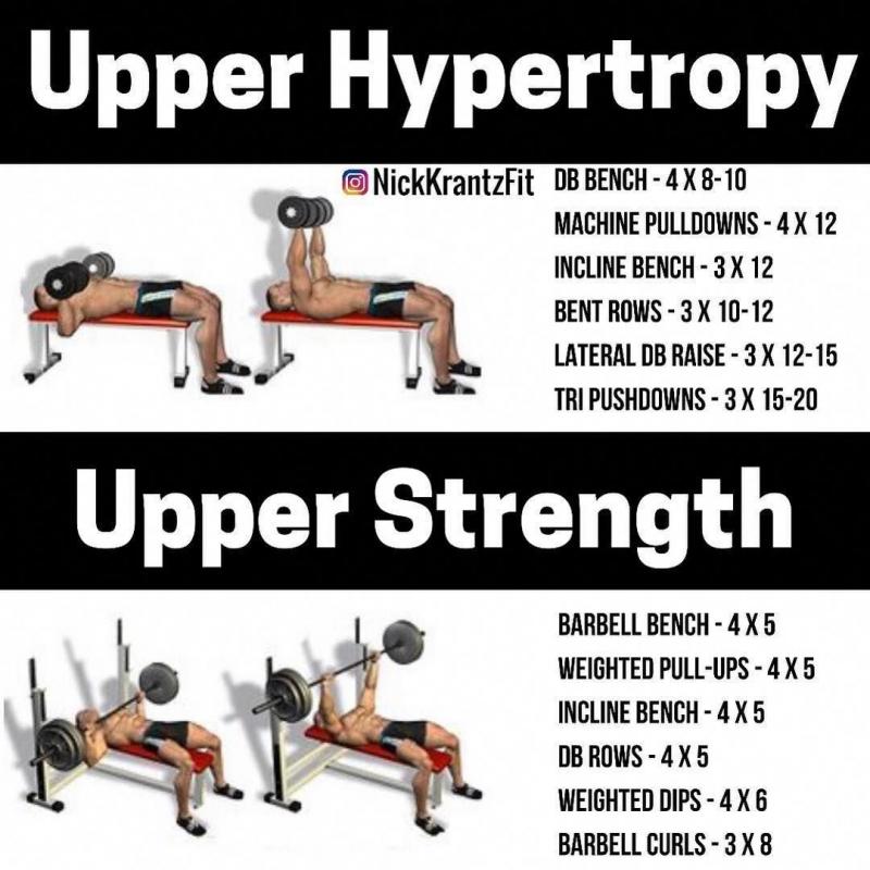 Biceps Bulging After Using The Best Home Gym Strength Rack. Proform Power Rack Types Compared