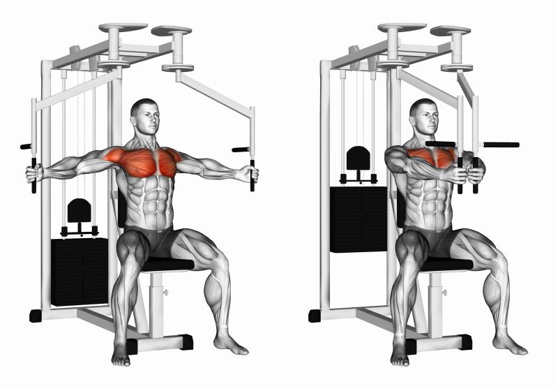 Biceps Bulging After Using The Best Home Gym Strength Rack. Proform Power Rack Types Compared