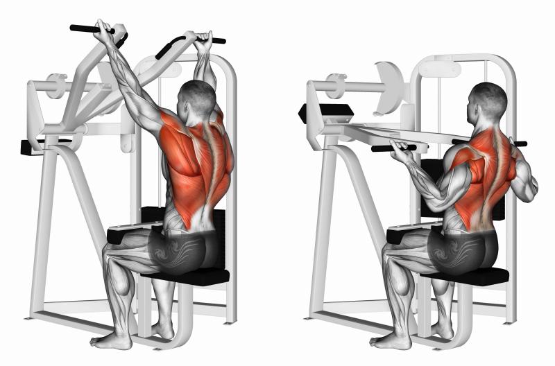 Biceps Bulging After Using The Best Home Gym Strength Rack. Proform Power Rack Types Compared