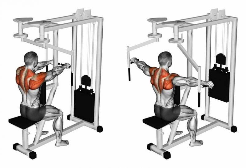 Biceps Bulging After Using The Best Home Gym Strength Rack. Proform Power Rack Types Compared