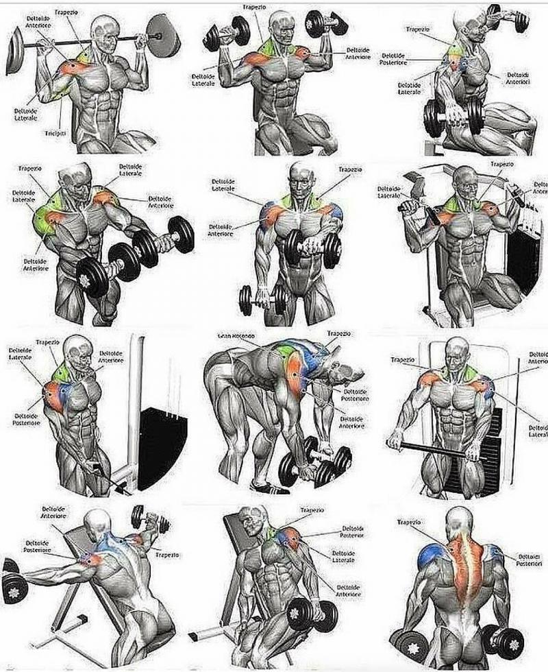 Biceps Bulging After Using The Best Home Gym Strength Rack. Proform Power Rack Types Compared