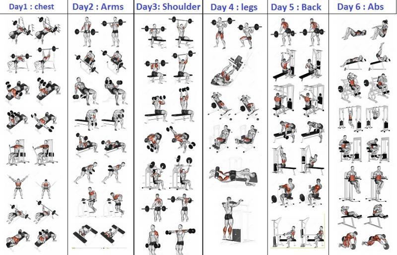 Biceps Bulging After Using The Best Home Gym Strength Rack. Proform Power Rack Types Compared