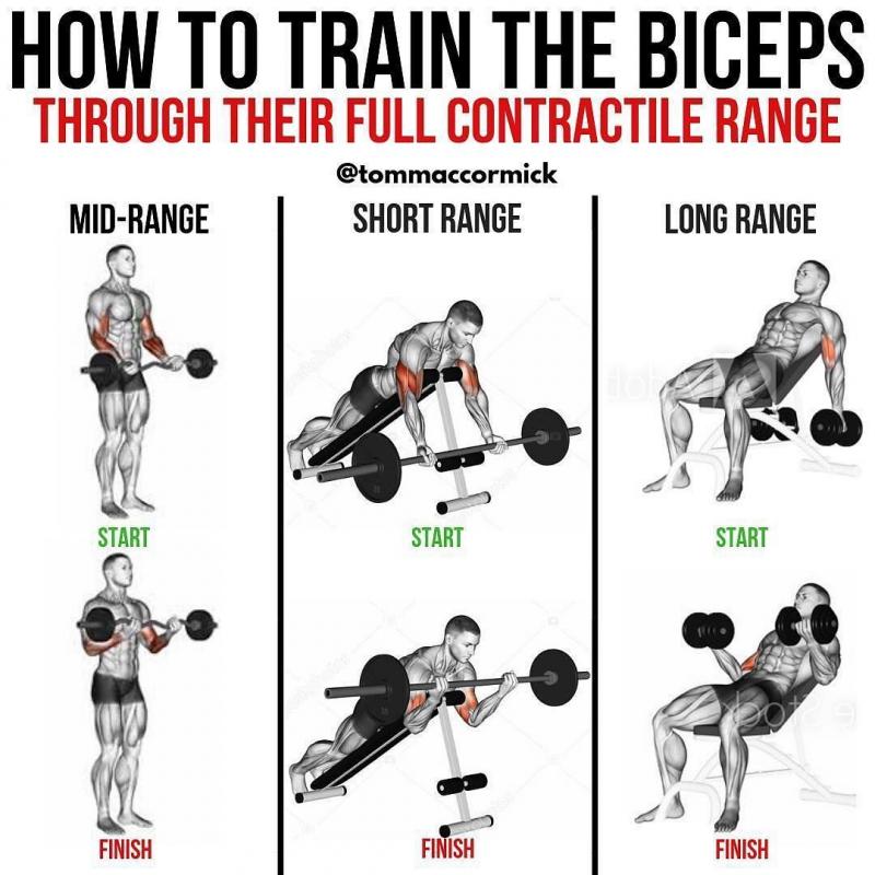 Biceps Bulging After Using The Best Home Gym Strength Rack. Proform Power Rack Types Compared