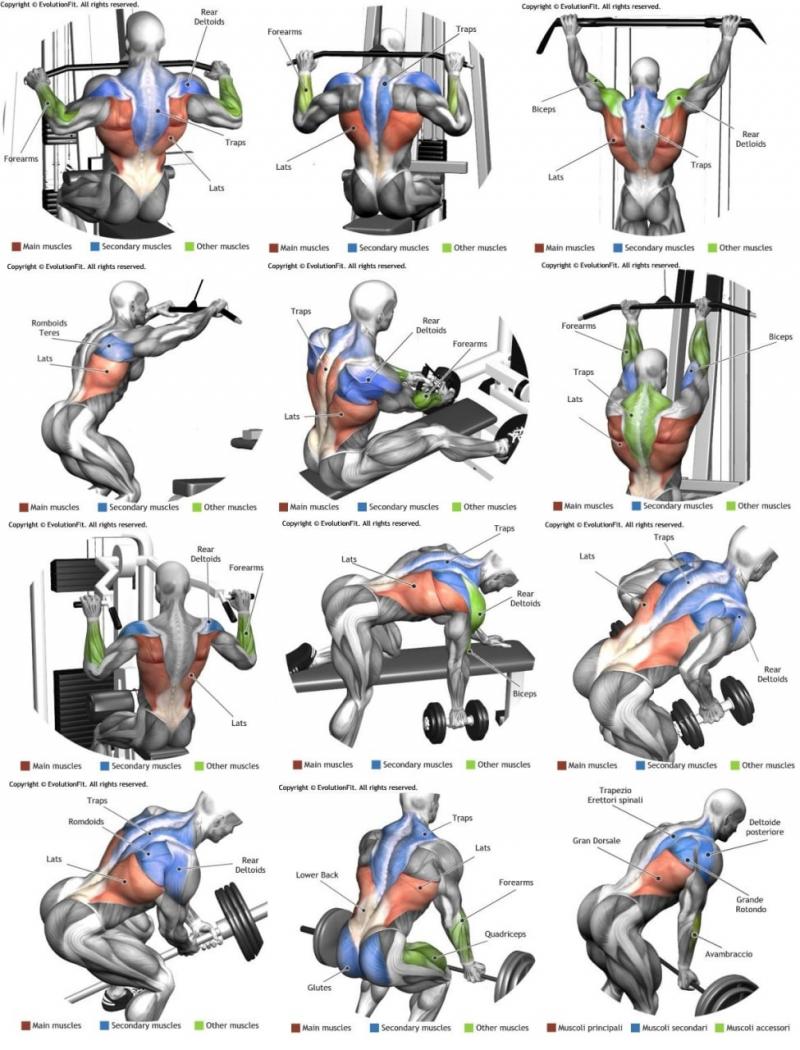 Biceps Bulging After Using The Best Home Gym Strength Rack. Proform Power Rack Types Compared