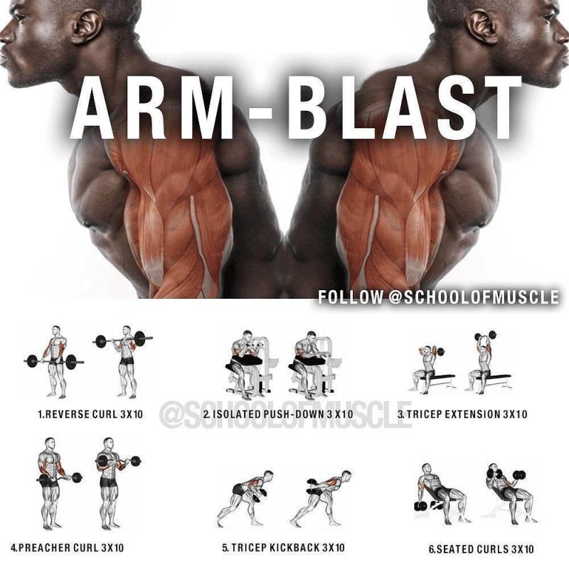 Blast Your Biceps to Peak Performance:This Old-School Arm Blaster Will Transform Your Arms