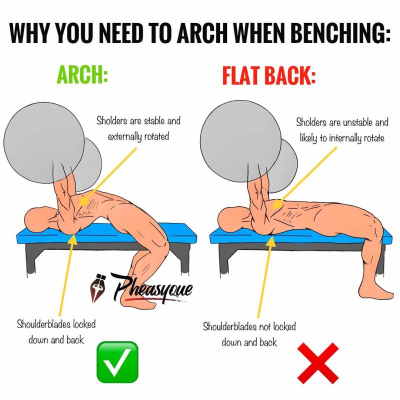 Boost Gains with the Marcy Flat Bench: 15 Killer Exercises Worth Trying