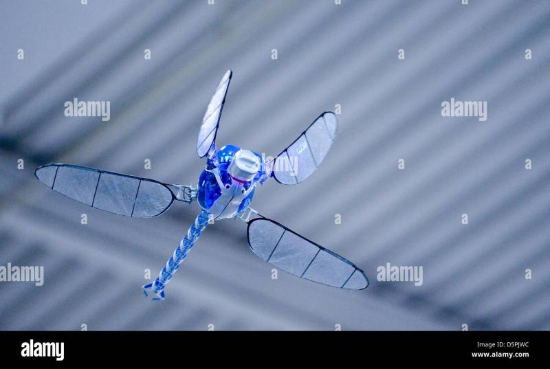 Boost Your Game with This Dragonfly 7 Lacrosse Shaft: 15 Reasons the Dragonfly 7 Will Take Your Play to the Next Level