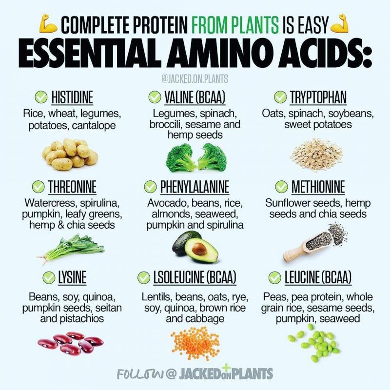 Boost Your Workouts with Amino Acids: Discover the Benefits of Branched Chain Amino Acids
