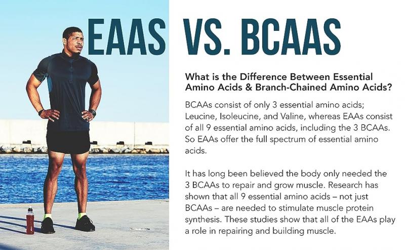 Boost Your Workouts with Amino Acids: Discover the Benefits of Branched Chain Amino Acids