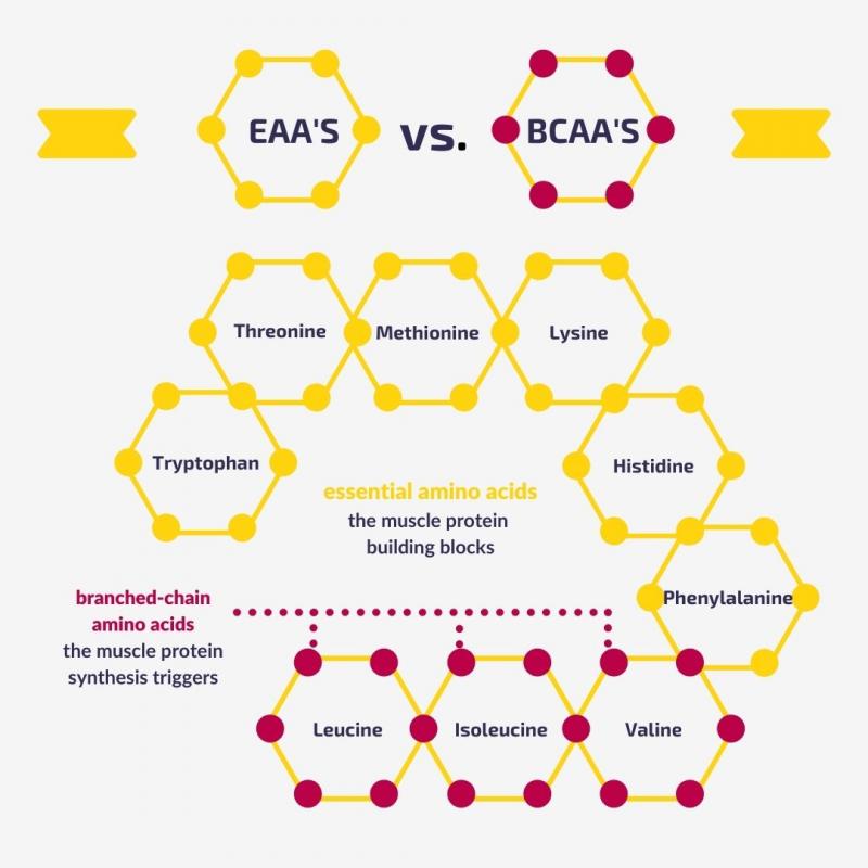Boost Your Workouts with Amino Acids: Discover the Benefits of Branched Chain Amino Acids