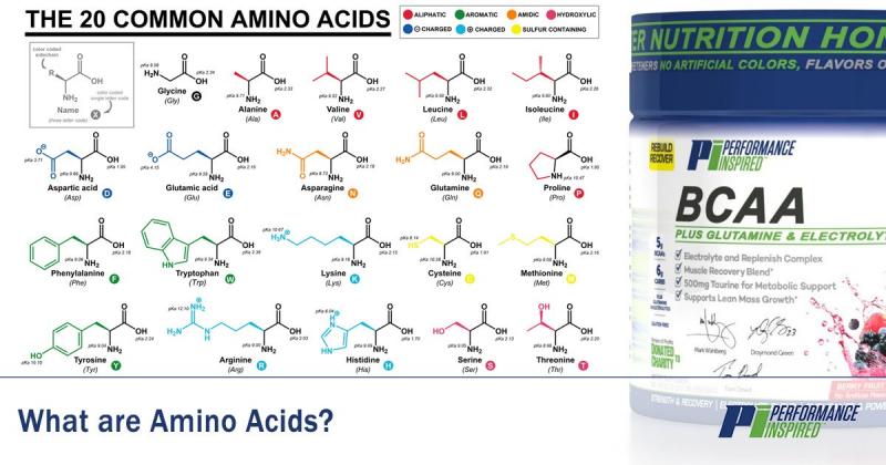 Boost Your Workouts with Amino Acids: Discover the Benefits of Branched Chain Amino Acids