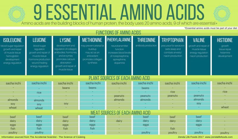 Boost Your Workouts with Amino Acids: Discover the Benefits of Branched Chain Amino Acids