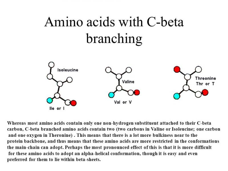 Boost Your Workouts with Amino Acids: Discover the Benefits of Branched Chain Amino Acids