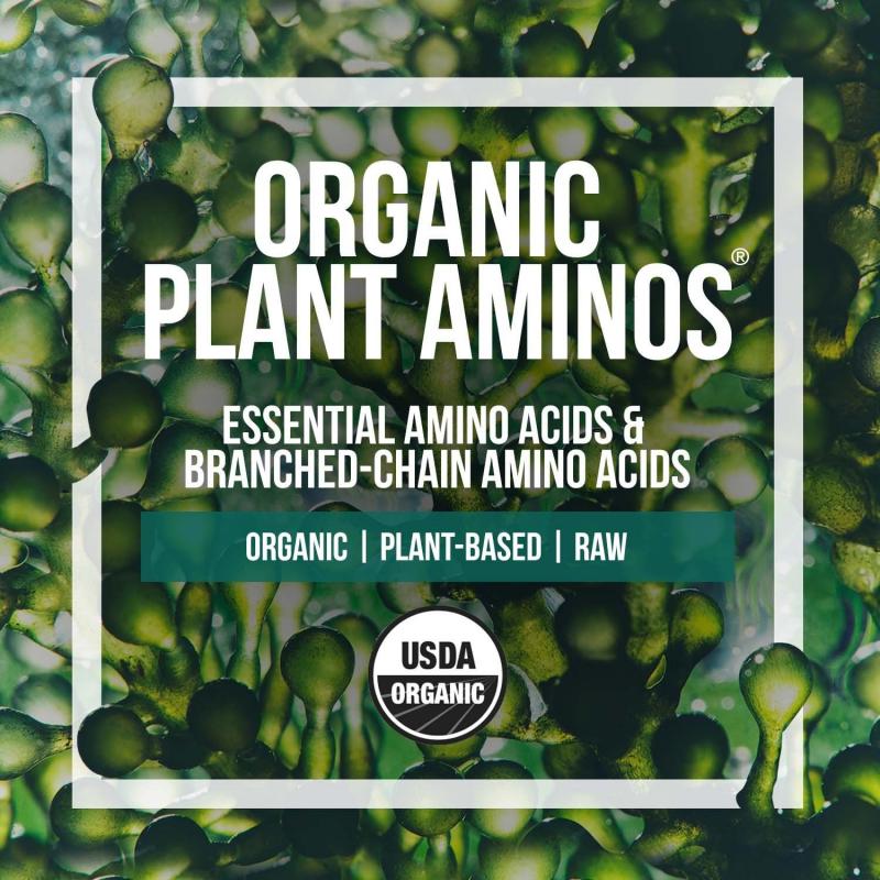 Boost Your Workouts with Amino Acids: Discover the Benefits of Branched Chain Amino Acids