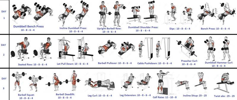 Bored of the Gym. Here