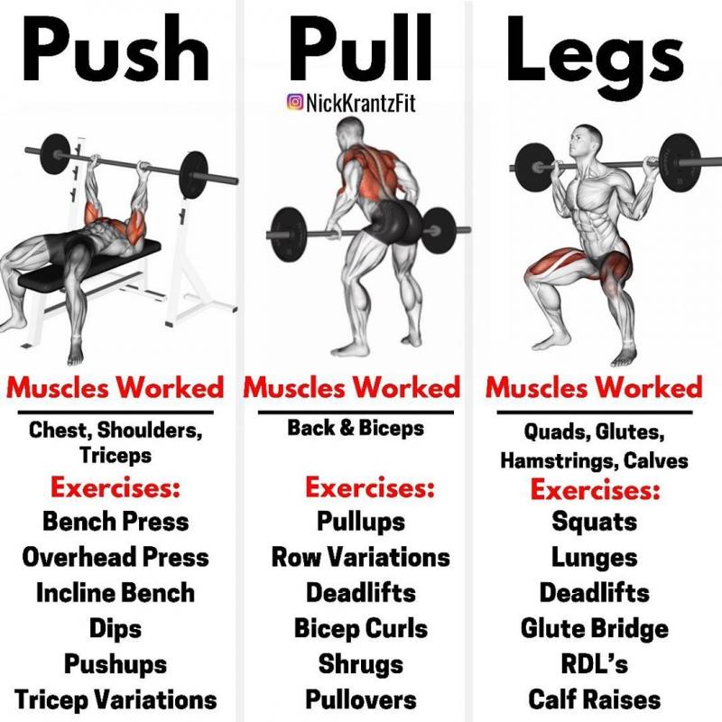 Bored of the Gym. Here