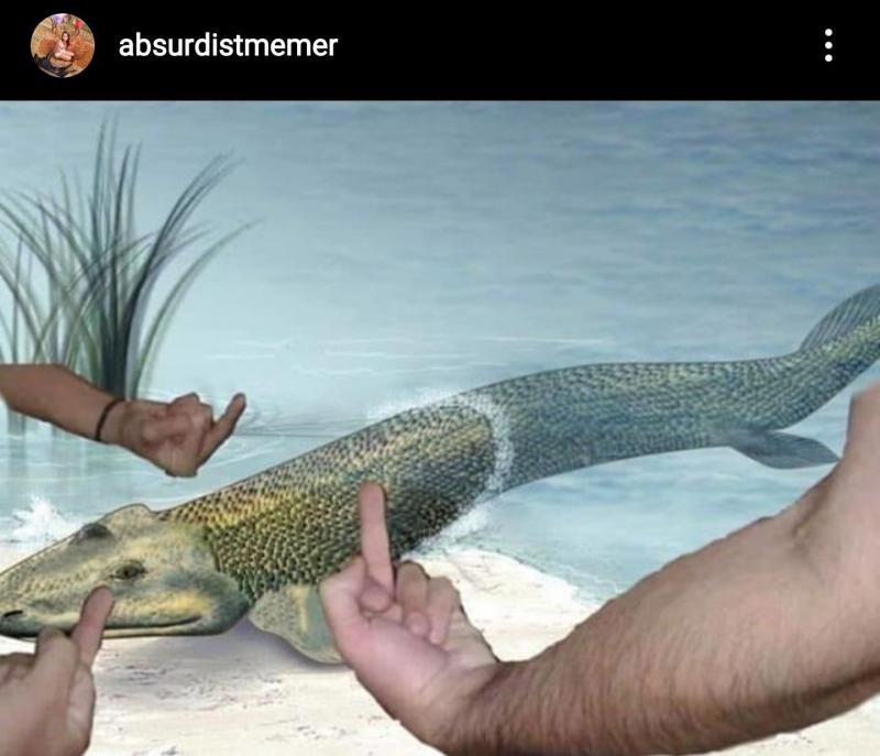 Bring The Ocean To Life: How Holographic Swim Baits Dominate Any Pond