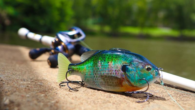 Bring The Ocean To Life: How Holographic Swim Baits Dominate Any Pond