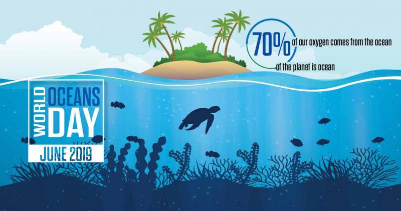Bring The Ocean To Life: How Holographic Swim Baits Dominate Any Pond