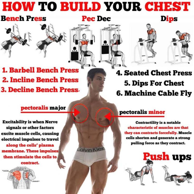 Build an Incredible Chest at Home: Is the Powertec Pec Fly the Secret