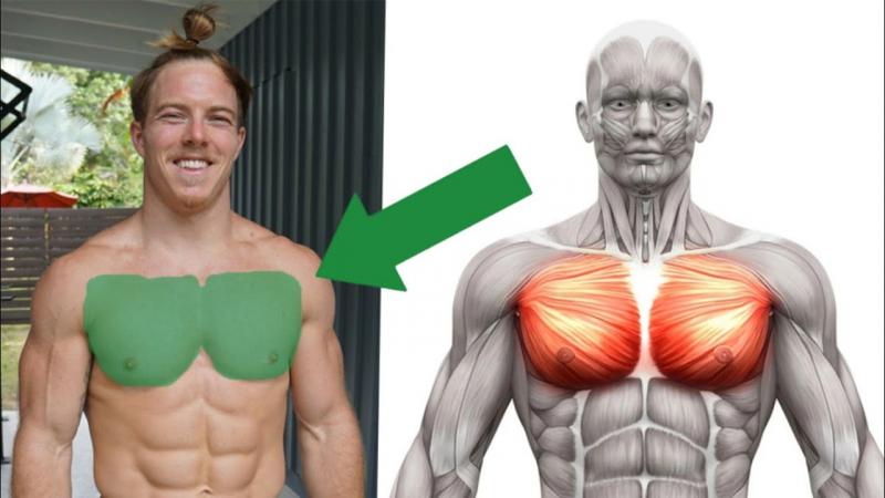 Build an Incredible Chest at Home: Is the Powertec Pec Fly the Secret