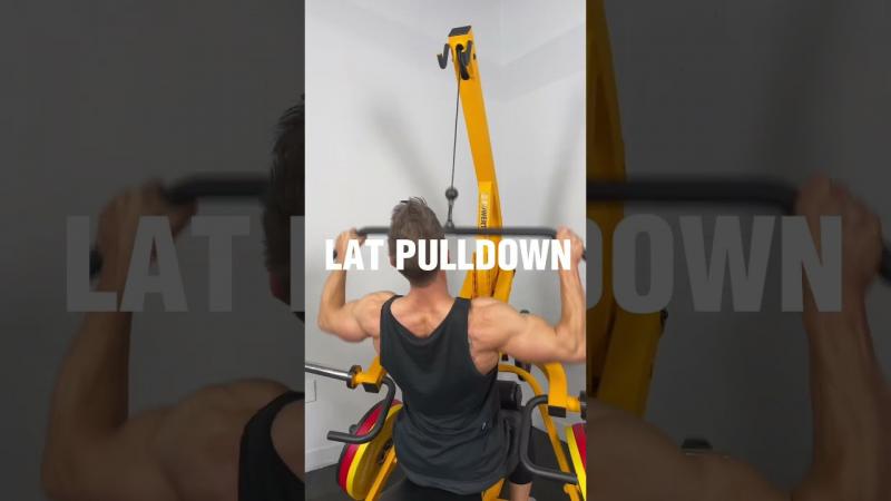 Build an Incredible Chest at Home: Is the Powertec Pec Fly the Secret