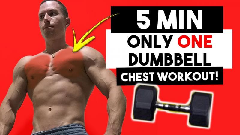 Build an Incredible Chest at Home: Is the Powertec Pec Fly the Secret