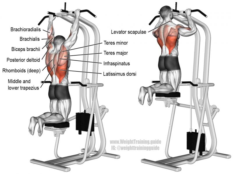 Build Epic Triceps With This Simple Gym Gear - Discover The 15 Must-Try Moves For Tricep Rope Training