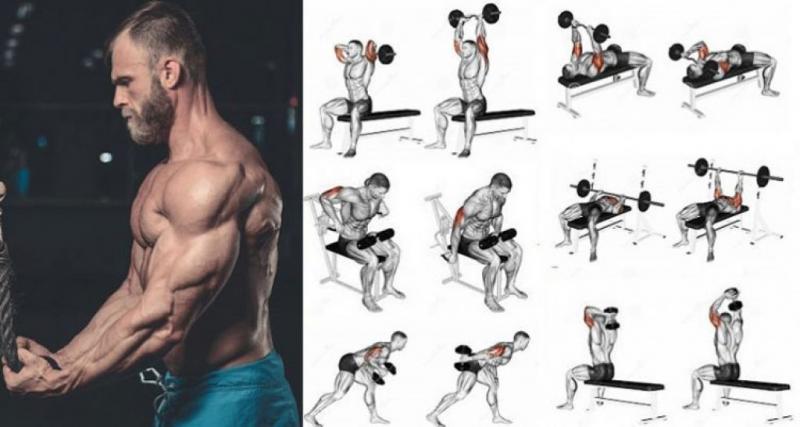 Build Epic Triceps With This Simple Gym Gear - Discover The 15 Must-Try Moves For Tricep Rope Training