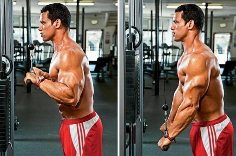 Build Epic Triceps With This Simple Gym Gear - Discover The 15 Must-Try Moves For Tricep Rope Training