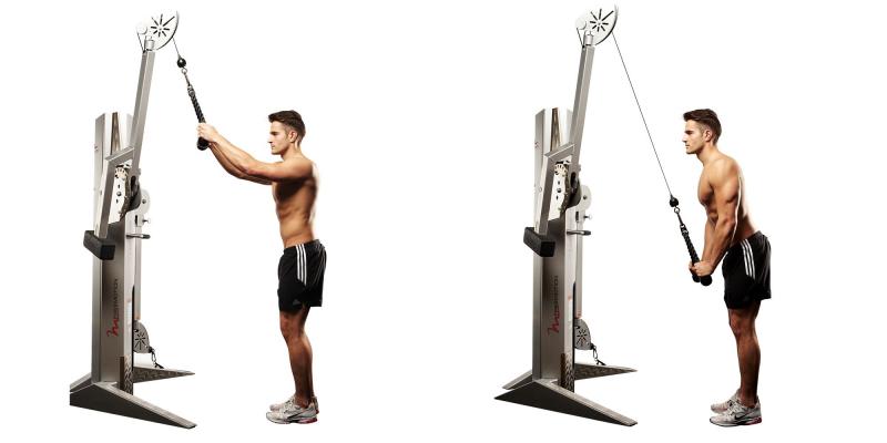 Build Epic Triceps With This Simple Gym Gear - Discover The 15 Must-Try Moves For Tricep Rope Training