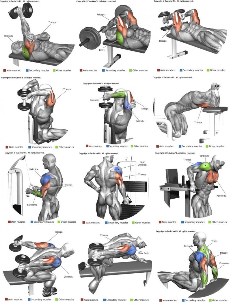 Build Epic Triceps With This Simple Gym Gear - Discover The 15 Must-Try Moves For Tricep Rope Training