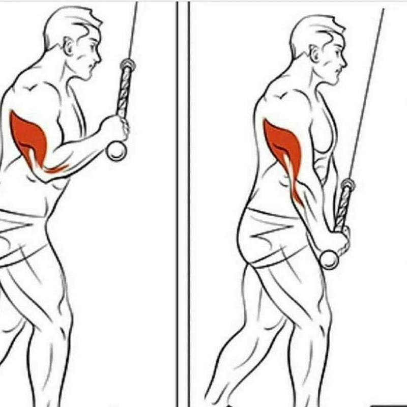 Build Epic Triceps With This Simple Gym Gear - Discover The 15 Must-Try Moves For Tricep Rope Training