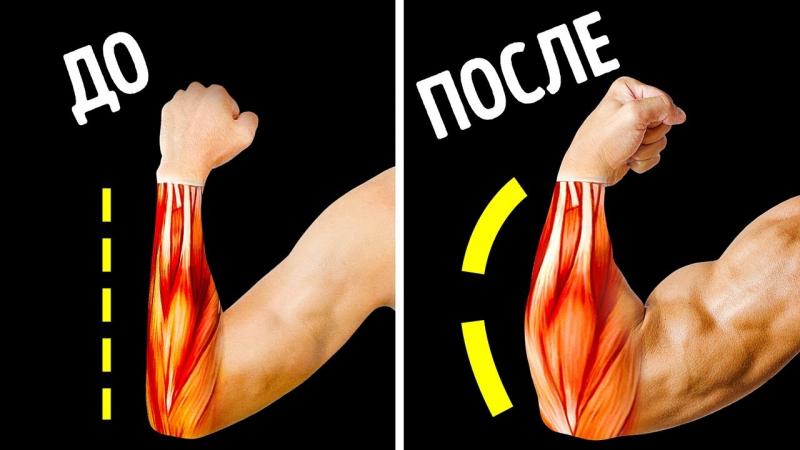 Bulk Up Your Forearms Fast With These 15 Wrist Weights