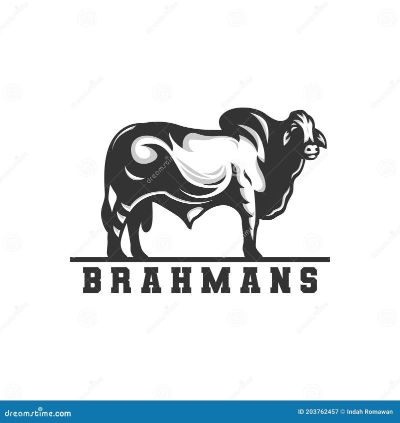 Bullish On Brahma. 15 Must-Have Brahma Bull Clothing Items For Real Fans