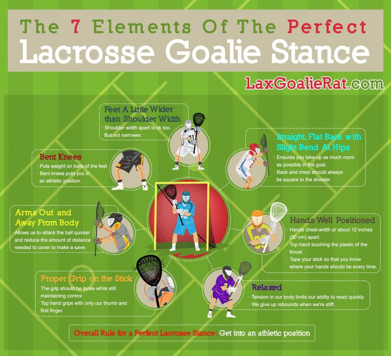 Buying Guide Finding the Perfect Lacrosse Net for Your Goal