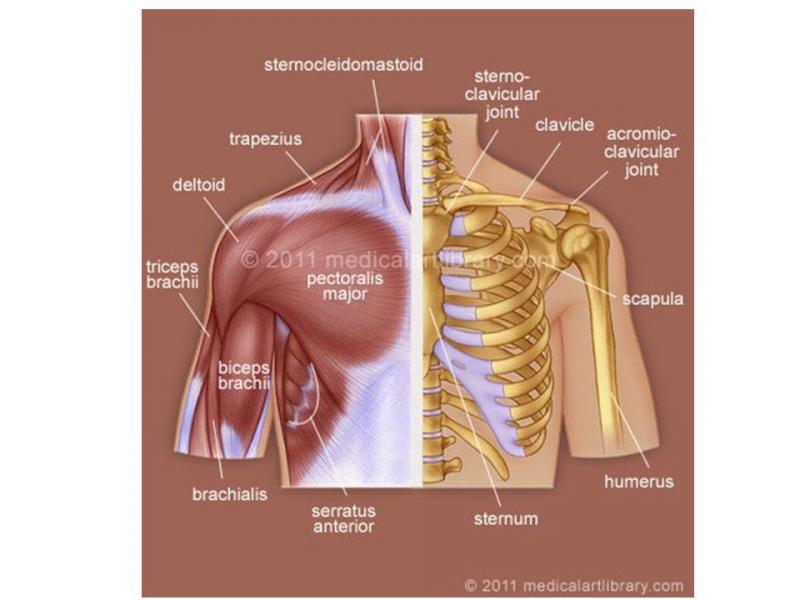 Can a Copper Shoulder Compression Sleeve Relieve Your Shoulder Pain: An Expert Guide on the Benefits of Using a Copper Shoulder Sleeve