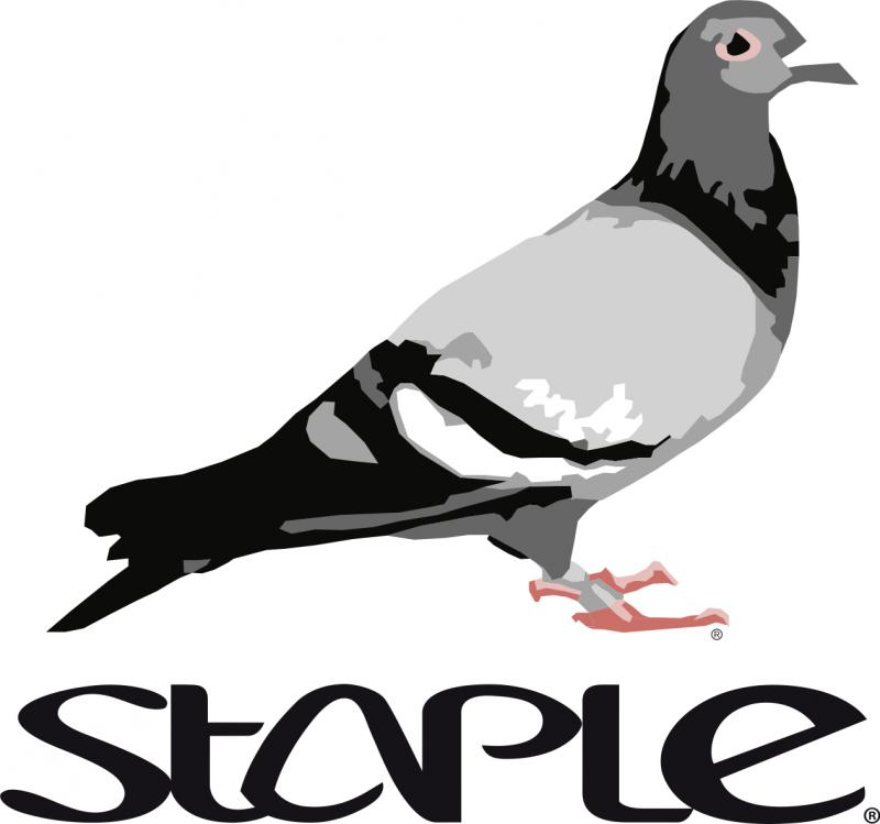 Can a Pigeon Build a Streetwear Empire: The Fascinating Story of Staple Pigeon