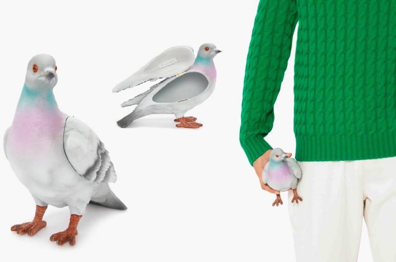 Can a Pigeon Build a Streetwear Empire: The Fascinating Story of Staple Pigeon