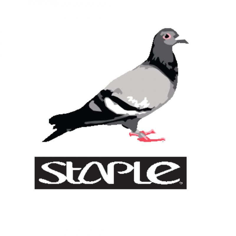 Can a Pigeon Build a Streetwear Empire: The Fascinating Story of Staple Pigeon