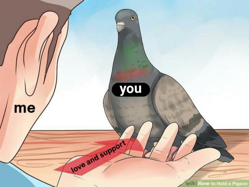 Can a Pigeon Build a Streetwear Empire: The Fascinating Story of Staple Pigeon