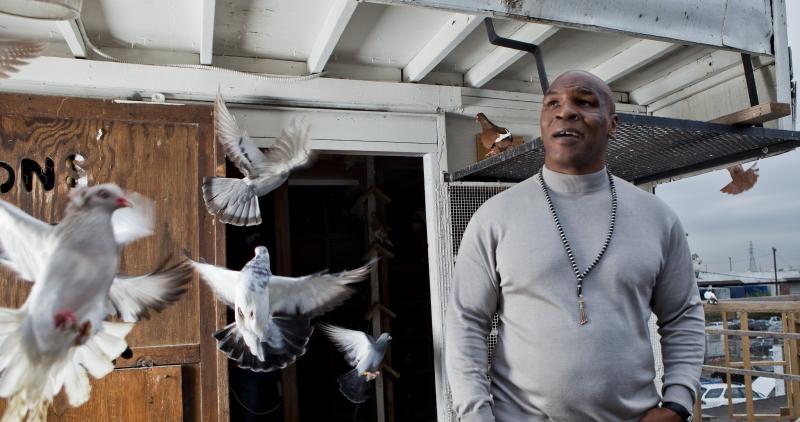 Can a Pigeon Build a Streetwear Empire: The Fascinating Story of Staple Pigeon