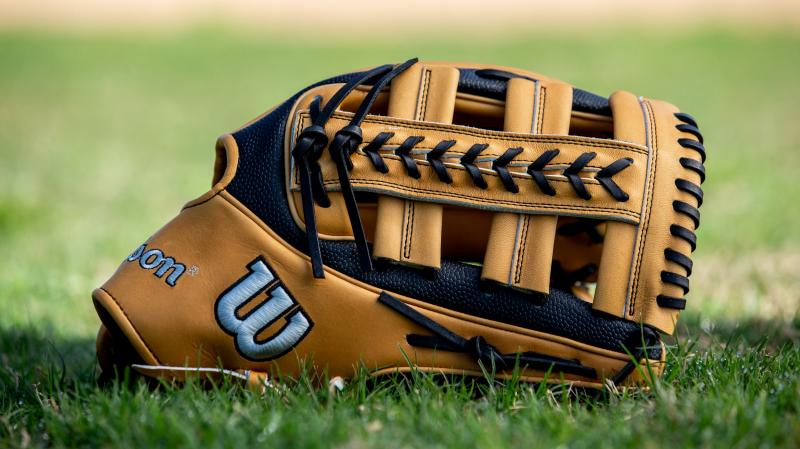 Can An Adidas Baseball Glove Really Improve Your Game This Season: Find Out in This 15-Point Guide