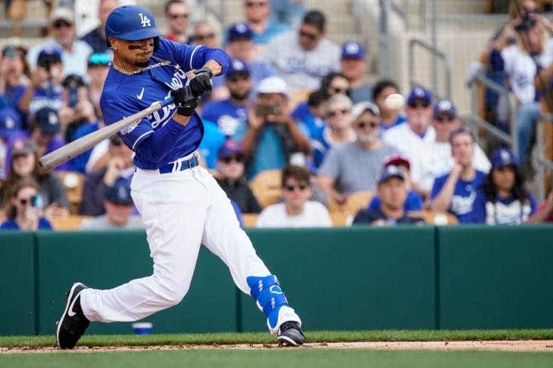 Can An Adidas Baseball Glove Really Improve Your Game This Season: Find Out in This 15-Point Guide